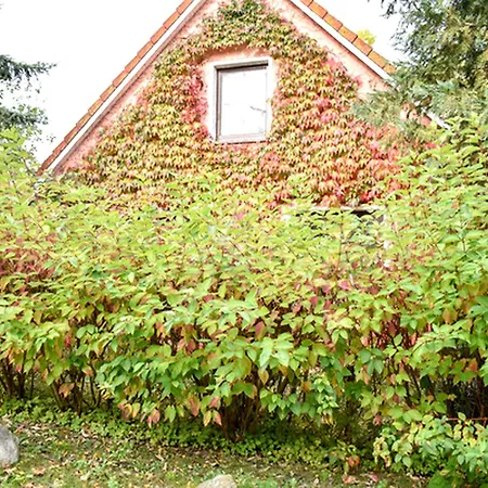Bio- Und Gesundheitshotel Gutshaus * Stellshagen