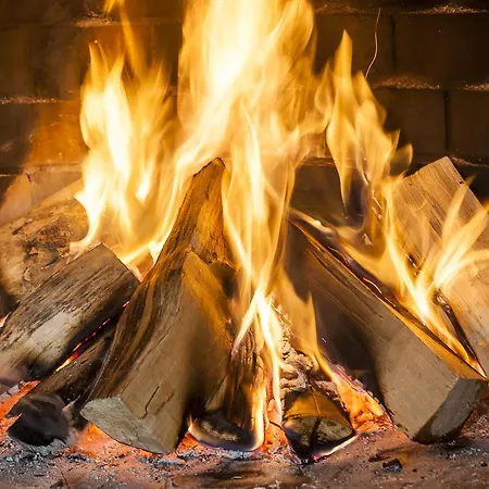 Bio- Und Gesundheitshotel Gutshaus * Stellshagen